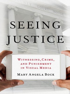 cover image of Seeing Justice